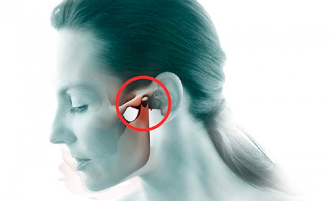 Articulación temporomandibular