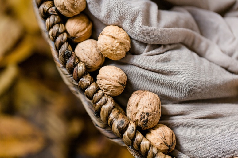 Las nueces son muy buenas para nuestra memoria